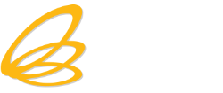 BOI Logo